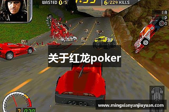 关于红龙poker